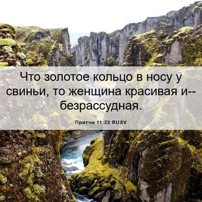 Picture 06 - Притчи 11:22 RUSV - Что золотое кольцо в носу у - Bible Verse Picture