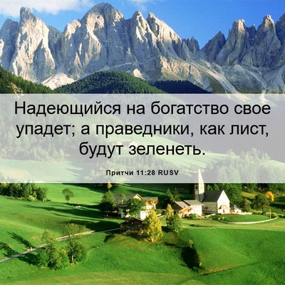 Picture 06 - Притчи 11:28 RUSV - Надеющийся на богатство - Bible Verse Picture