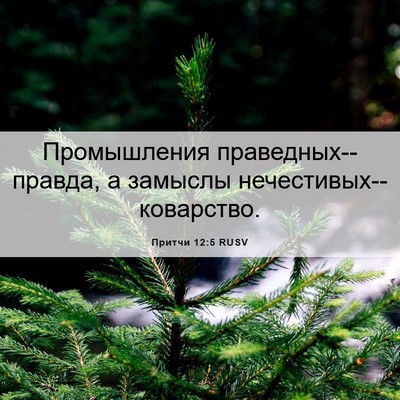 Picture 06 - Притчи 12:5 RUSV - Промышления - Bible Verse Picture