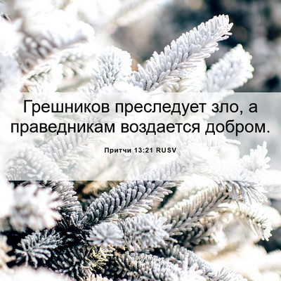 Picture 06 - Притчи 13:21 RUSV - Грешников преследует зло, - Bible Verse Picture
