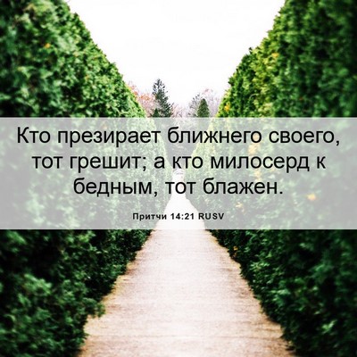 Picture 06 - Притчи 14:21 RUSV - Кто презирает ближнего - Bible Verse Picture