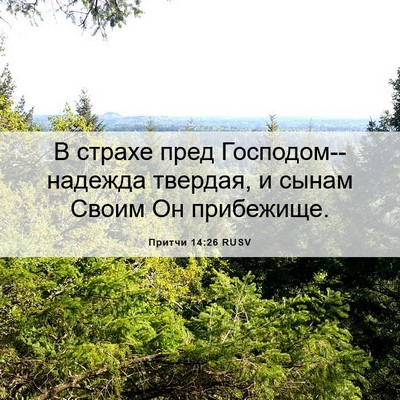 Picture 06 - Притчи 14:26 RUSV - В страхе пред - Bible Verse Picture