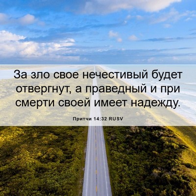 Picture 06 - Притчи 14:32 RUSV - За зло свое нечестивый - Bible Verse Picture
