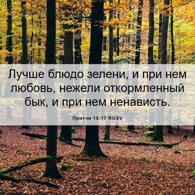 Picture 06 - Притчи 15:17 RUSV - Лучше блюдо зелени, и при - Bible Verse Picture