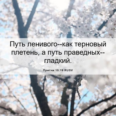 Picture 06 - Притчи 15:19 RUSV - Путь ленивого--как - Bible Verse Picture