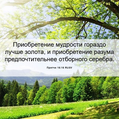 Picture 06 - Притчи 16:16 RUSV - Приобретение мудрости - Bible Verse Picture