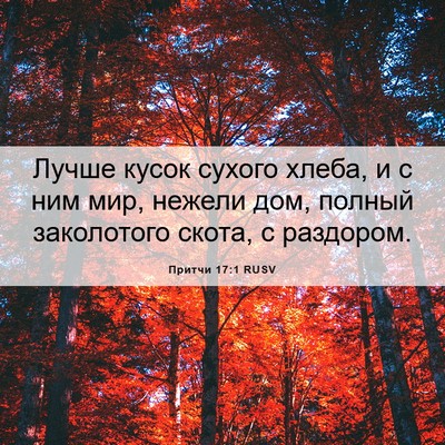 Picture 06 - Притчи 17:1 RUSV - Лучше кусок сухого хлеба, и - Bible Verse Picture