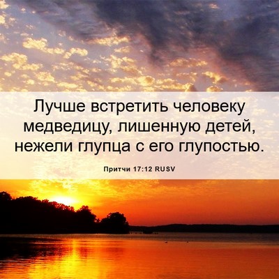 Picture 06 - Притчи 17:12 RUSV - Лучше встретить человеку - Bible Verse Picture