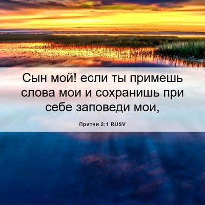 Picture 06 - Притчи 2:1 RUSV - Сын мой! если ты примешь - Bible Verse Picture