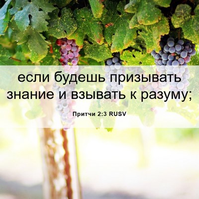 Picture 06 - Притчи 2:3 RUSV - если будешь призывать - Bible Verse Picture
