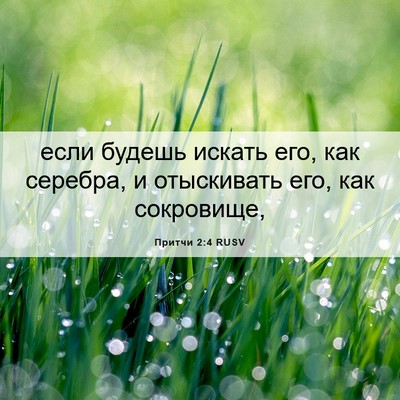 Picture 06 - Притчи 2:4 RUSV - если будешь искать его, как - Bible Verse Picture