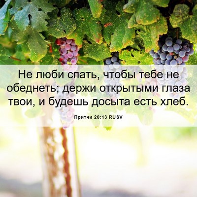 Picture 06 - Притчи 20:13 RUSV - Не люби спать, чтобы тебе - Bible Verse Picture