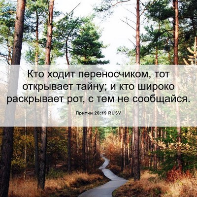 Picture 06 - Притчи 20:19 RUSV - Кто ходит переносчиком, - Bible Verse Picture
