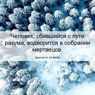 Picture 06 - Притчи 21:16 RUSV - Человек, сбившийся с пути - Bible Verse Picture