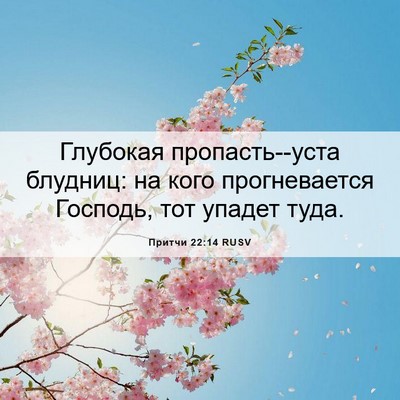Picture 06 - Притчи 22:14 RUSV - Глубокая пропасть--уста - Bible Verse Picture