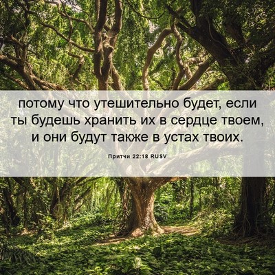 Picture 06 - Притчи 22:18 RUSV - потому что утешительно - Bible Verse Picture