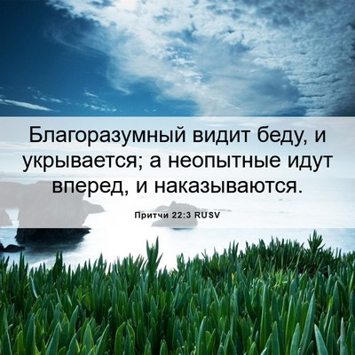 Picture 06 - Притчи 22:3 RUSV - Благоразумный видит беду, - Bible Verse Picture
