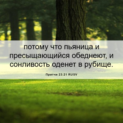 Picture 06 - Притчи 23:21 RUSV - потому что пьяница и - Bible Verse Picture