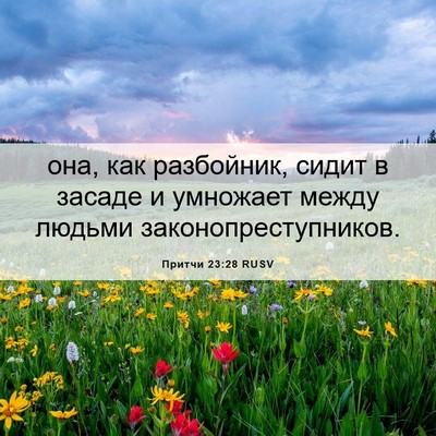 Picture 06 - Притчи 23:28 RUSV - она, как разбойник, сидит в - Bible Verse Picture