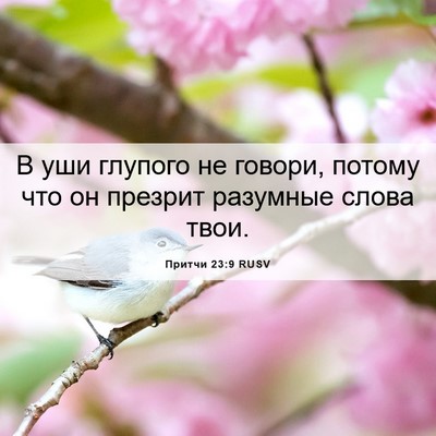Picture 06 - Притчи 23:9 RUSV - В уши глупого не говори, - Bible Verse Picture