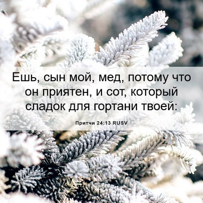 Picture 06 - Притчи 24:13 RUSV - Ешь, сын мой, мед, потому - Bible Verse Picture