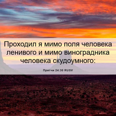 Picture 06 - Притчи 24:30 RUSV - Проходил я мимо поля - Bible Verse Picture