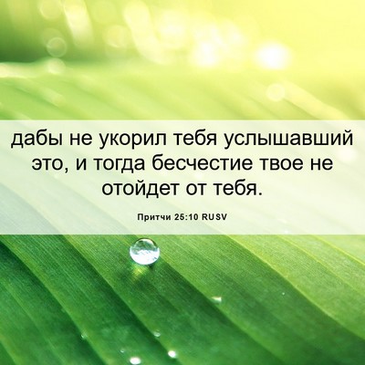 Picture 06 - Притчи 25:10 RUSV - дабы не укорил тебя - Bible Verse Picture