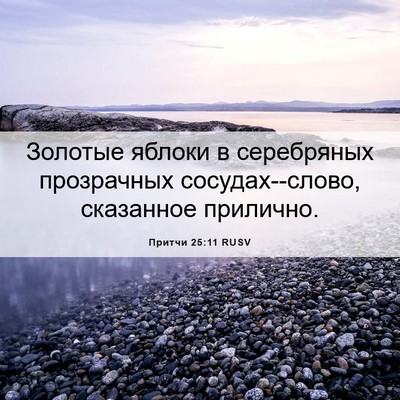 Picture 06 - Притчи 25:11 RUSV - Золотые яблоки в - Bible Verse Picture