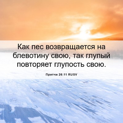 Picture 06 - Притчи 26:11 RUSV - Как пес возвращается на - Bible Verse Picture