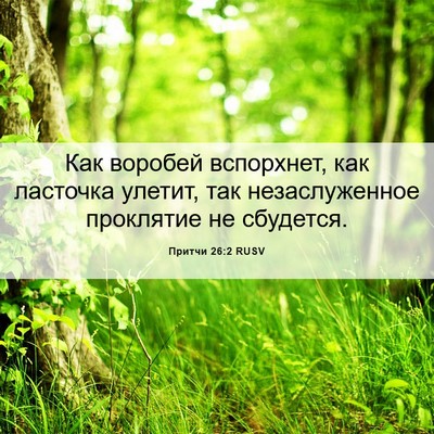 Picture 06 - Притчи 26:2 RUSV - Как воробей вспорхнет, как - Bible Verse Picture