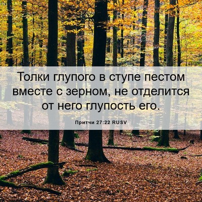 Picture 06 - Притчи 27:22 RUSV - Толки глупого в ступе - Bible Verse Picture