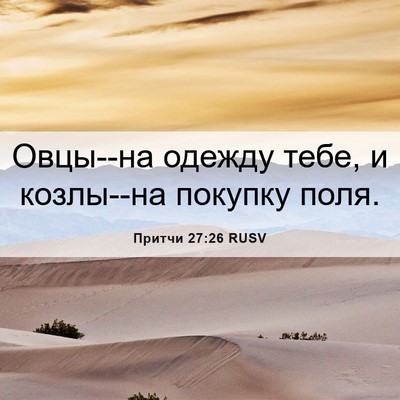 Picture 06 - Притчи 27:26 RUSV - Овцы--на одежду тебе, и - Bible Verse Picture