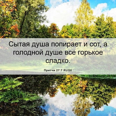 Picture 06 - Притчи 27:7 RUSV - Сытая душа попирает и сот, - Bible Verse Picture