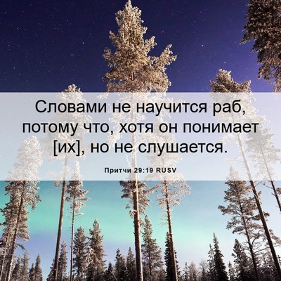 Picture 06 - Притчи 29:19 RUSV - Словами не научится раб, - Bible Verse Picture