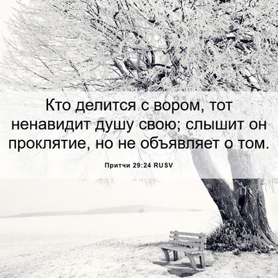 Picture 06 - Притчи 29:24 RUSV - Кто делится с вором, тот - Bible Verse Picture