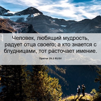 Picture 06 - Притчи 29:3 RUSV - Человек, любящий мудрость, - Bible Verse Picture