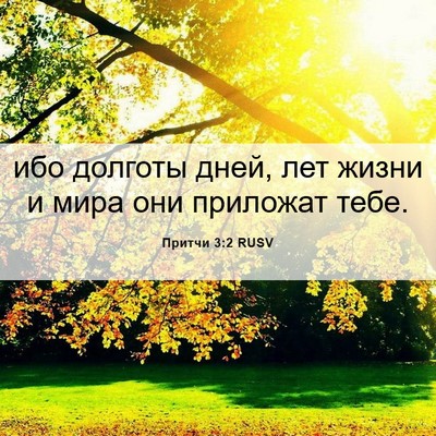 Picture 06 - Притчи 3:2 RUSV - ибо долготы дней, лет жизни - Bible Verse Picture