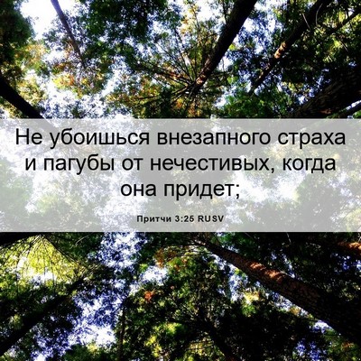 Picture 06 - Притчи 3:25 RUSV - Не убоишься внезапного - Bible Verse Picture
