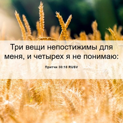 Picture 06 - Притчи 30:18 RUSV - Три вещи непостижимы для - Bible Verse Picture