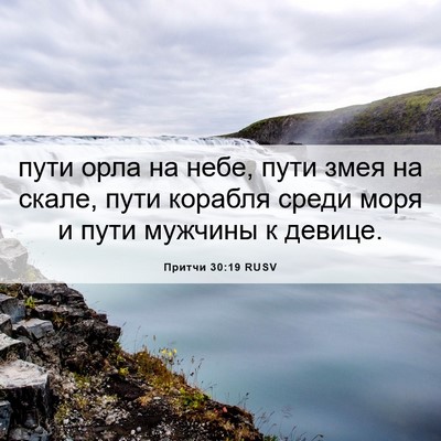 Picture 06 - Притчи 30:19 RUSV - пути орла на небе, пути - Bible Verse Picture