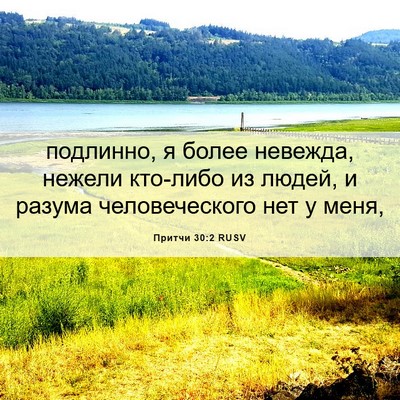 Picture 06 - Притчи 30:2 RUSV - подлинно, я более невежда, - Bible Verse Picture