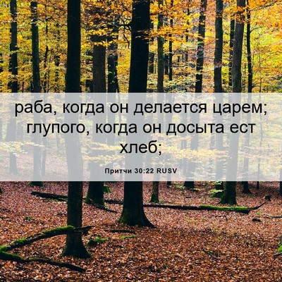 Picture 06 - Притчи 30:22 RUSV - раба, когда он делается - Bible Verse Picture