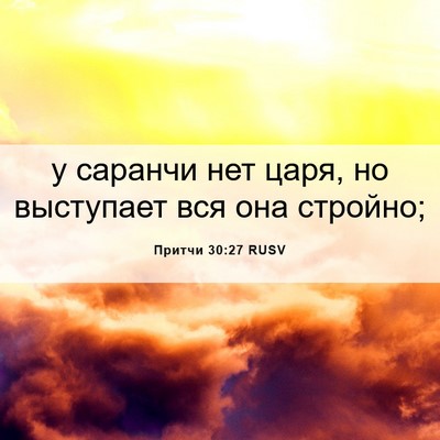 Picture 06 - Притчи 30:27 RUSV - у саранчи нет царя, но - Bible Verse Picture