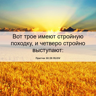 Picture 06 - Притчи 30:29 RUSV - Вот трое имеют стройную - Bible Verse Picture