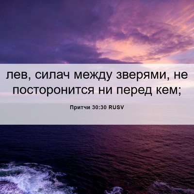 Picture 06 - Притчи 30:30 RUSV - лев, силач между зверями, - Bible Verse Picture
