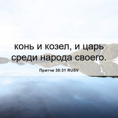 Picture 06 - Притчи 30:31 RUSV - конь и козел, и царь среди - Bible Verse Picture