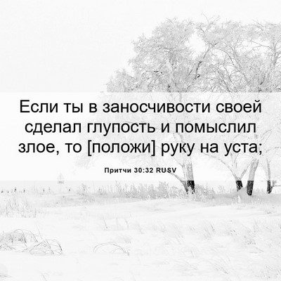Picture 06 - Притчи 30:32 RUSV - Если ты в заносчивости - Bible Verse Picture