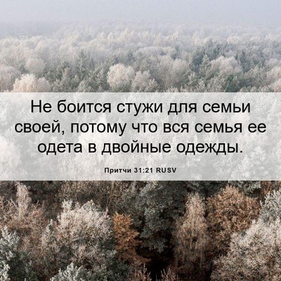 Picture 06 - Притчи 31:21 RUSV - Не боится стужи для семьи - Bible Verse Picture