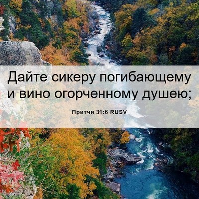 Picture 06 - Притчи 31:6 RUSV - Дайте сикеру погибающему и - Bible Verse Picture