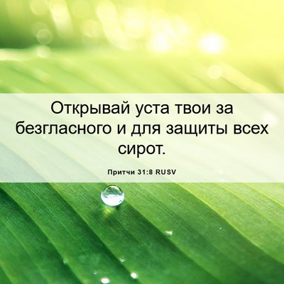 Picture 06 - Притчи 31:8 RUSV - Открывай уста твои за - Bible Verse Picture